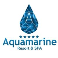 aquamarine_1x